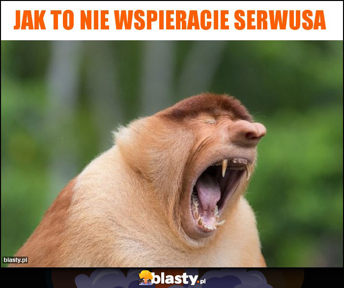 Jak to nie wspieracie Serwusa Jak to nie wspieracie Serwusa