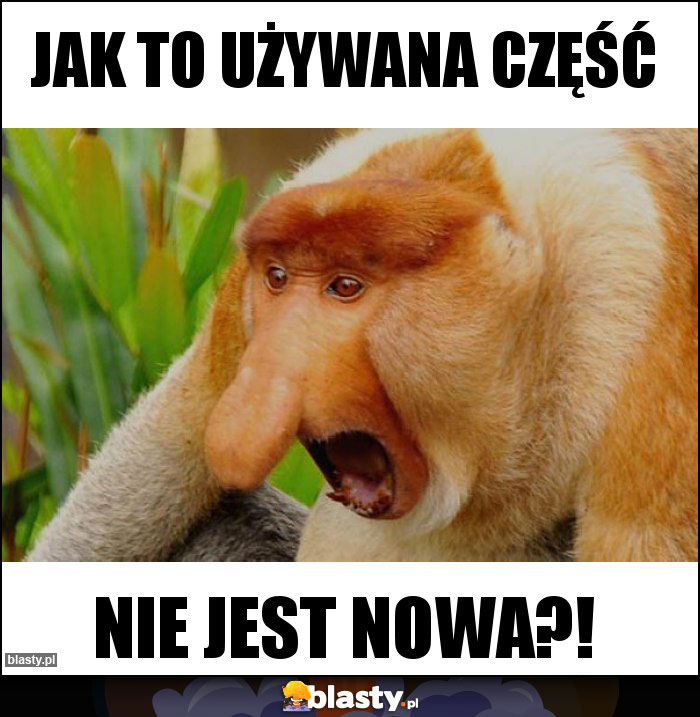 JAK TO UŻYWANA CZĘŚĆ JAK TO UŻYWANA CZĘŚĆ