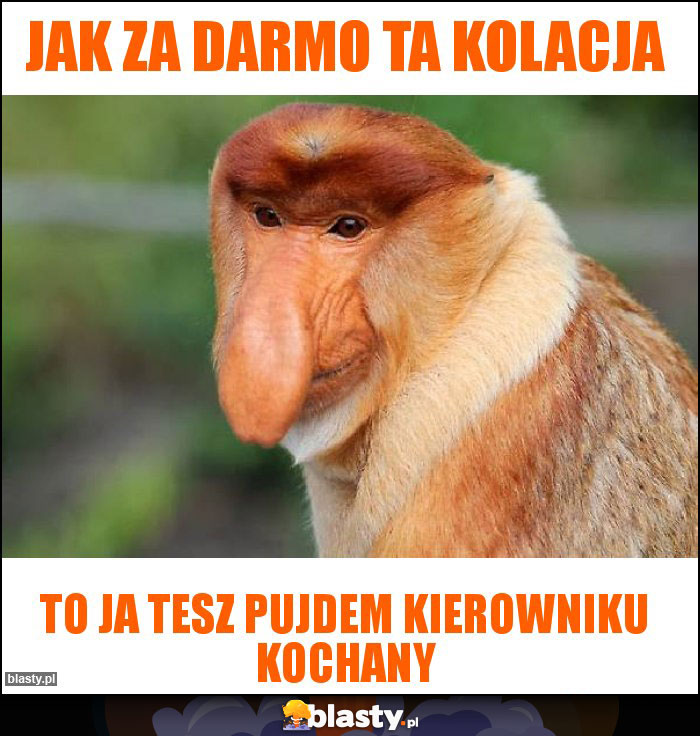 Jak za darmo ta kolacja