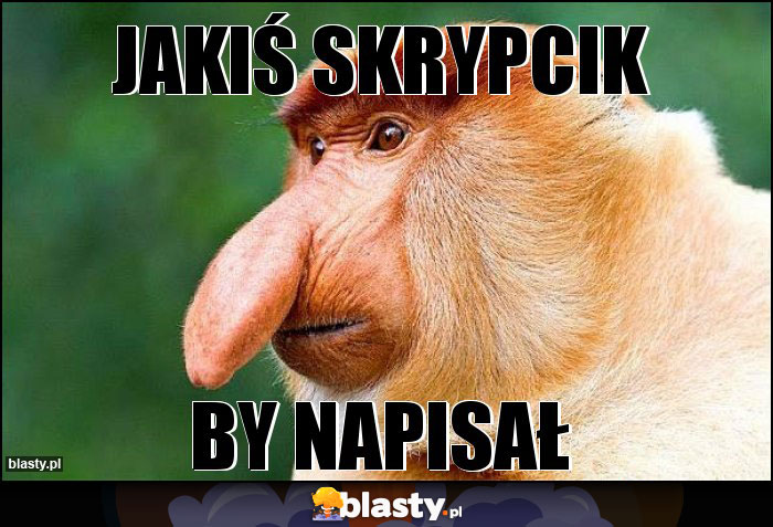 JAKIŚ SKRYPCIK JAKIŚ SKRYPCIK