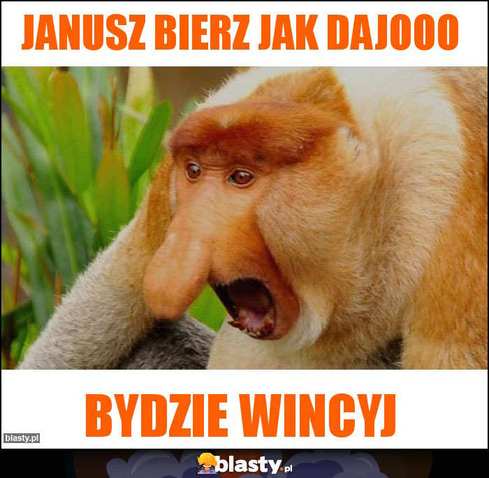 Janusz bierz jak dajooo Janusz bierz jak dajooo