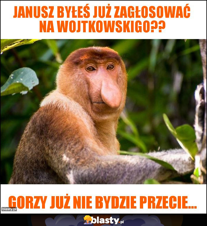Janusz byłeś już zagłosować na Wojtkowskigo?? Janusz byłeś już zagłosować na Wojtkowskigo??