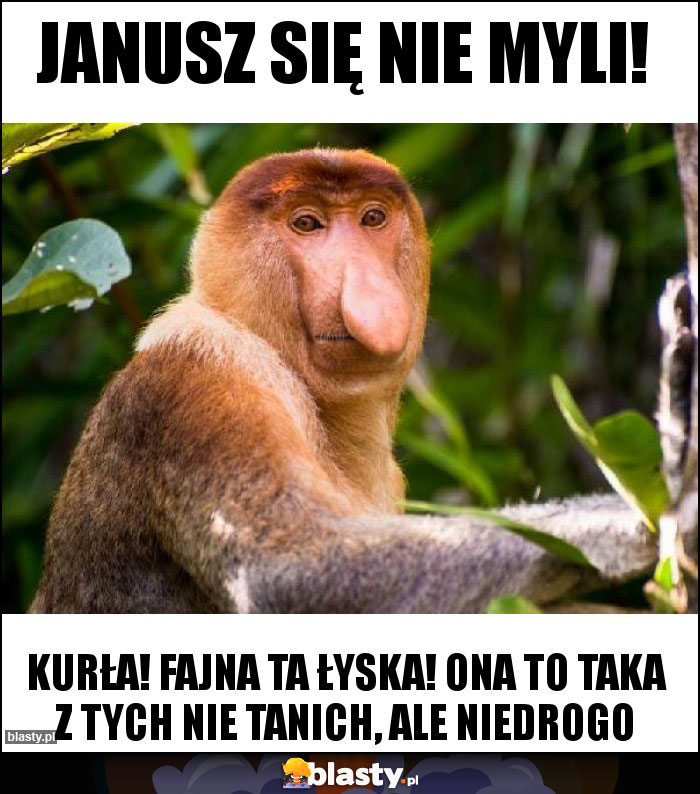 Janusz się nie myli! Janusz się nie myli!