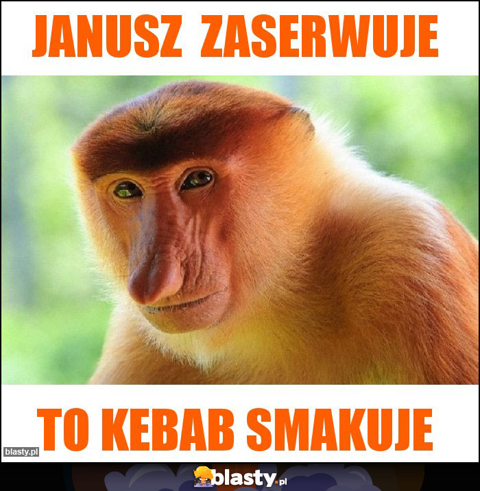Janusz zaserwuje Janusz zaserwuje