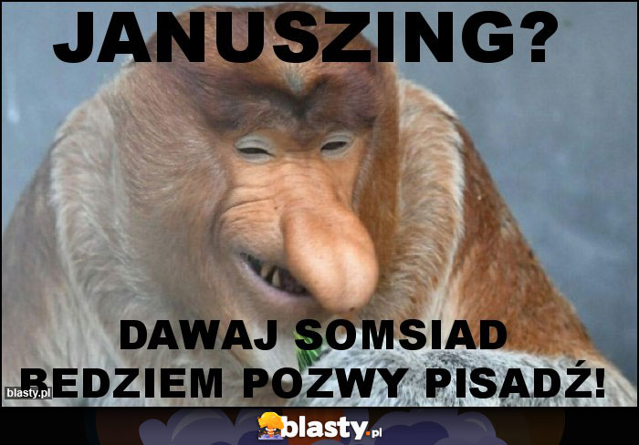 Januszing? Januszing?
