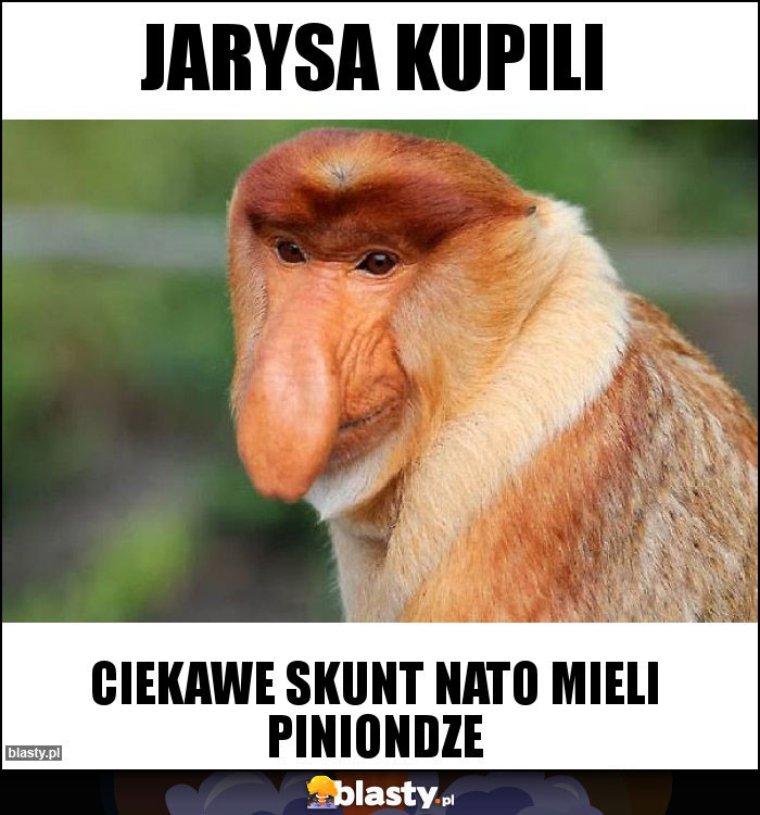 jarysa kupili jarysa kupili