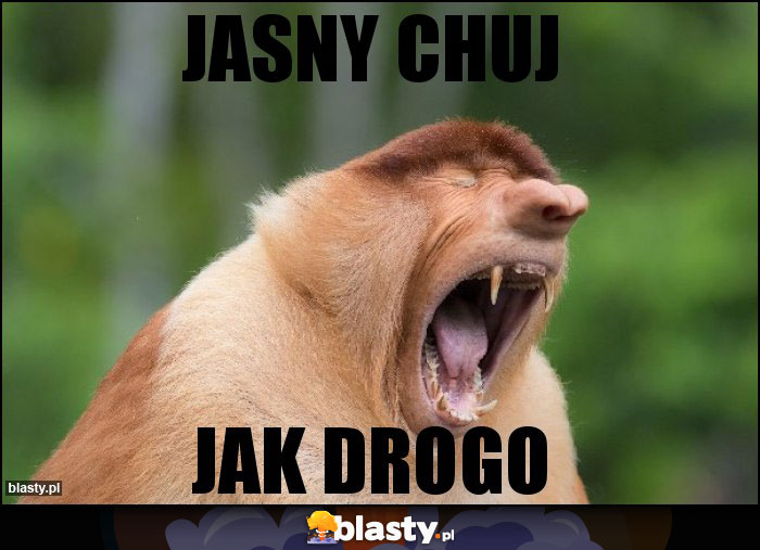 JASNY CHUJ