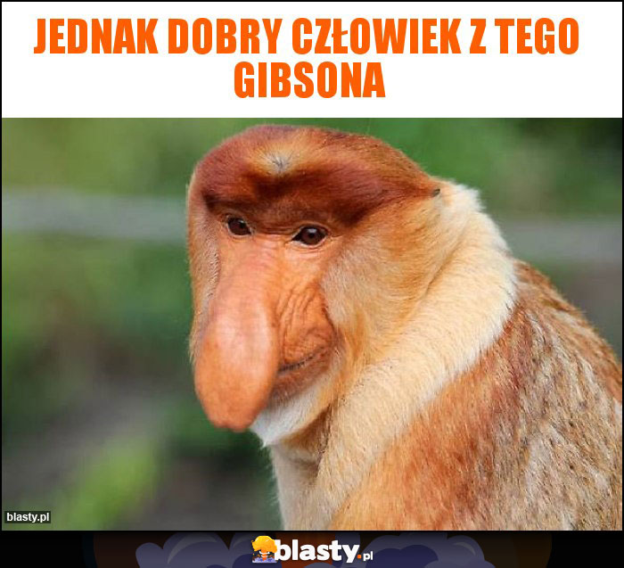 Jednak Dobry człowiek z tego GibsonA Jednak Dobry człowiek z tego GibsonA