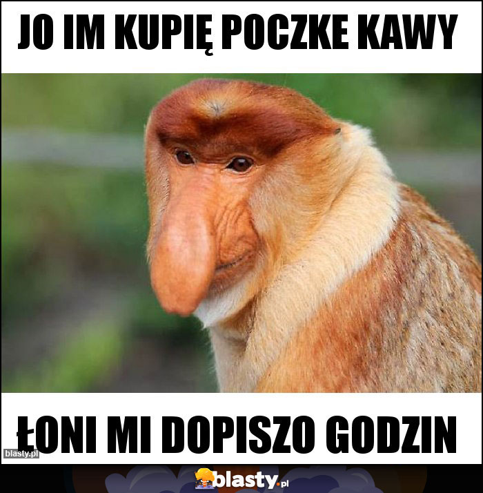 Jo im kupię poczke kawy Jo im kupię poczke kawy