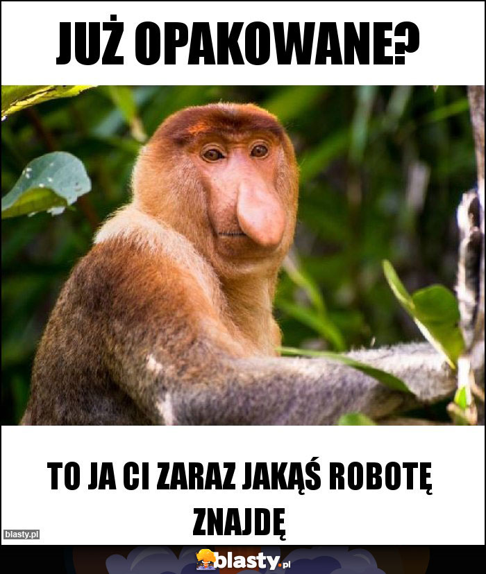 Już opakowane? Już opakowane?