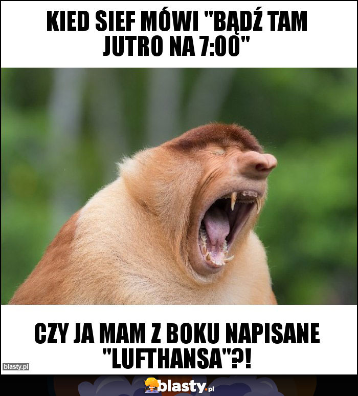 Kied sief mówi Kied sief mówi