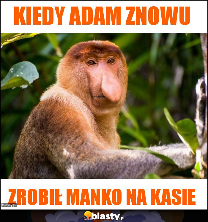 KIEDY ADAM ZNOWU KIEDY ADAM ZNOWU