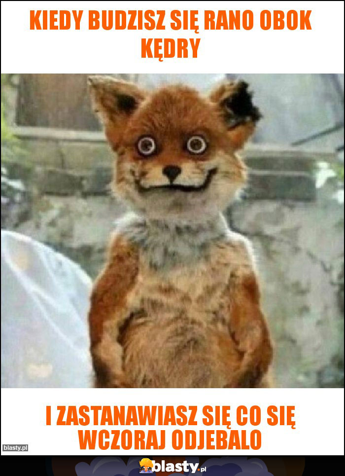 KIEDY BUDZISZ SIĘ RANO OBOK KĘDRY KIEDY BUDZISZ SIĘ RANO OBOK KĘDRY