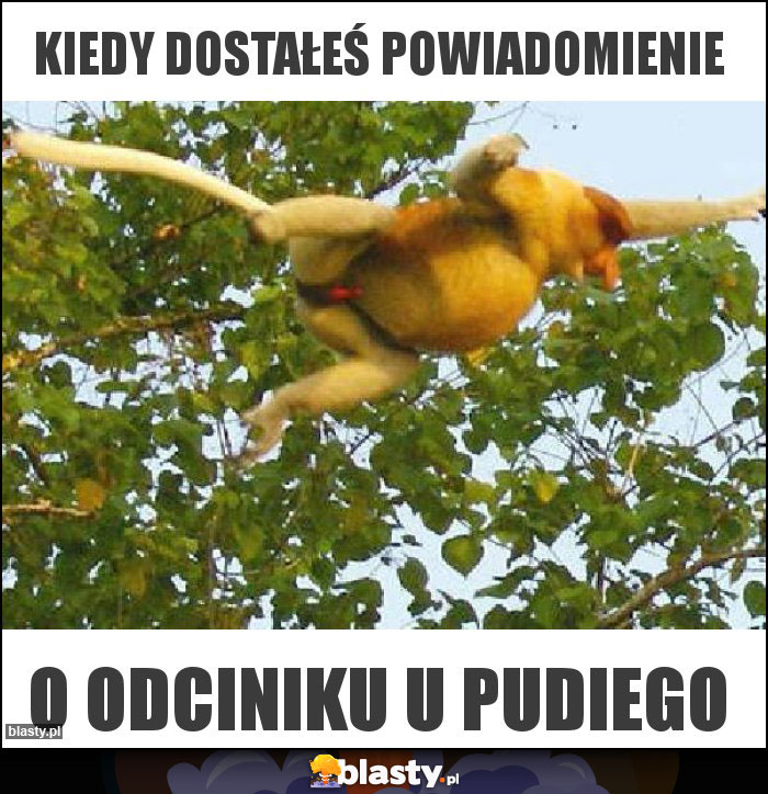 Kiedy dostałeś powiadomienie Kiedy dostałeś powiadomienie