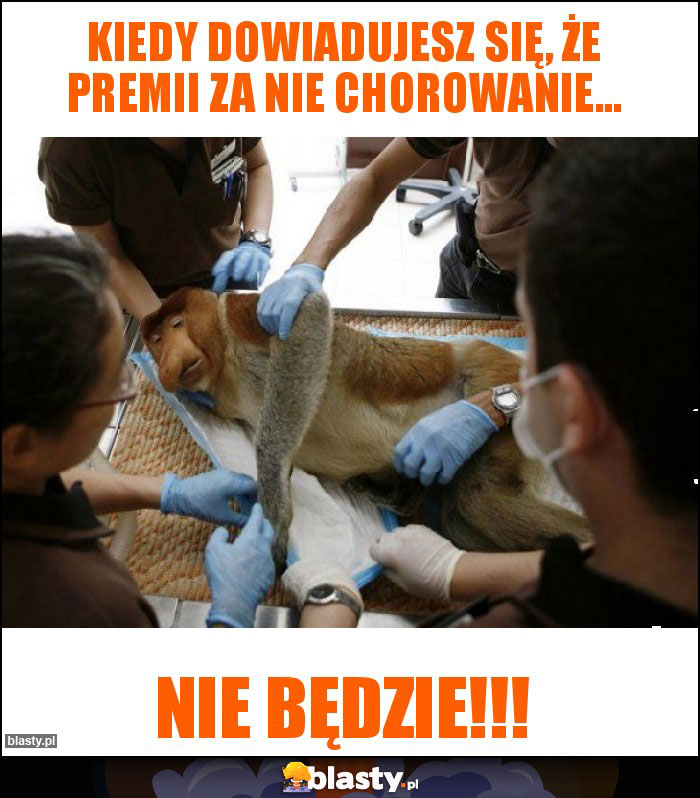 Kiedy dowiadujesz się, że premii za nie chorowanie... Kiedy dowiadujesz się, że premii za nie chorowanie...