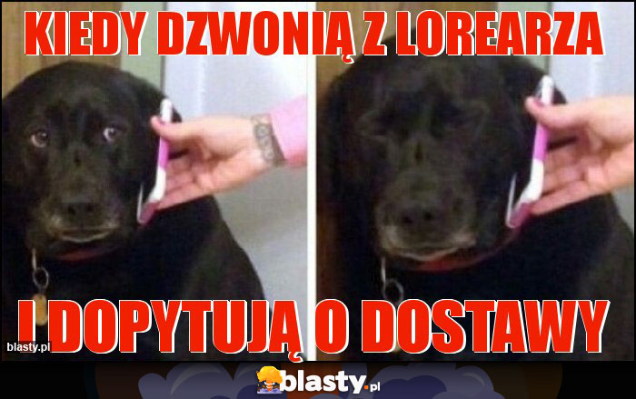 Kiedy dzwonią z Lorearza Kiedy dzwonią z Lorearza