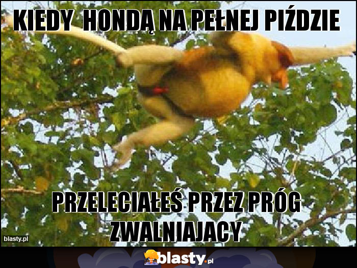 Kiedy hondą na pełnej piździe Kiedy hondą na pełnej piździe