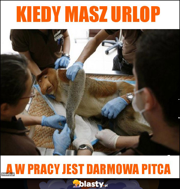 kiedy masz urlop kiedy masz urlop