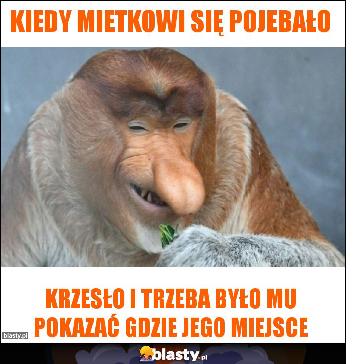 KIEDY MIETKOWI SIĘ POJEBAŁO KIEDY MIETKOWI SIĘ POJEBAŁO
