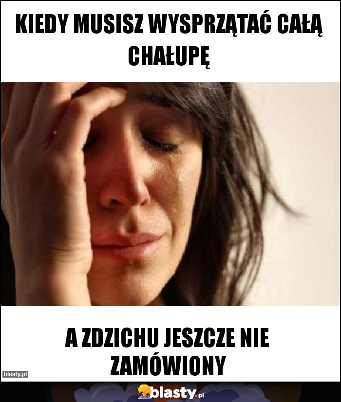 Kiedy musisz wysprzątać całą chałupę Kiedy musisz wysprzątać całą chałupę