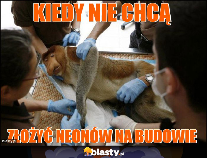 kiedy nie chcą kiedy nie chcą