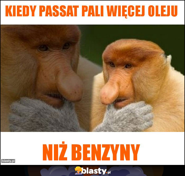 Kiedy Passat pali więcej oleju