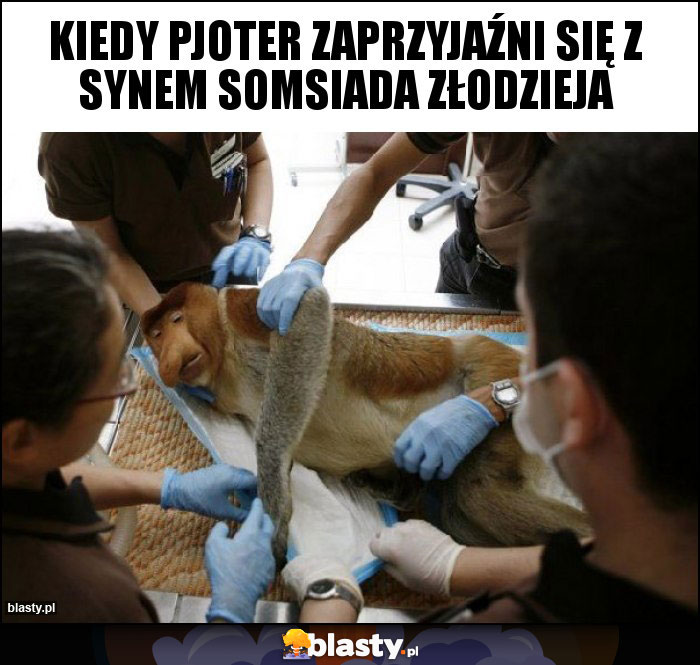Kiedy Pjoter zaprzyjaźni się z synem somsiada złodzieja Kiedy Pjoter zaprzyjaźni się z synem somsiada złodzieja