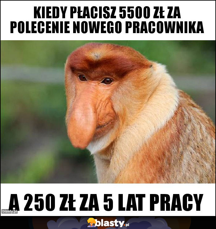 KIEDY PŁACISZ 5500 ZŁ ZA POLECENIE NOWEGO PRACOWNIKA KIEDY PŁACISZ 5500 ZŁ ZA POLECENIE NOWEGO PRACOWNIKA