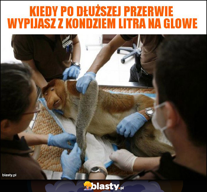 Kiedy Po dłuższej przerwie wypijasz z kondziem litra na glowe Kiedy Po dłuższej przerwie wypijasz z kondziem litra na glowe