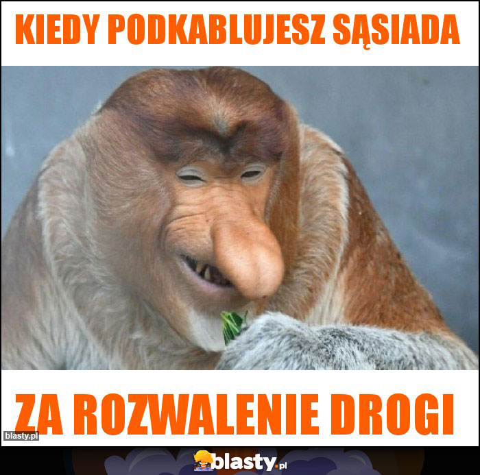 Kiedy podkablujesz sąsiada Kiedy podkablujesz sąsiada