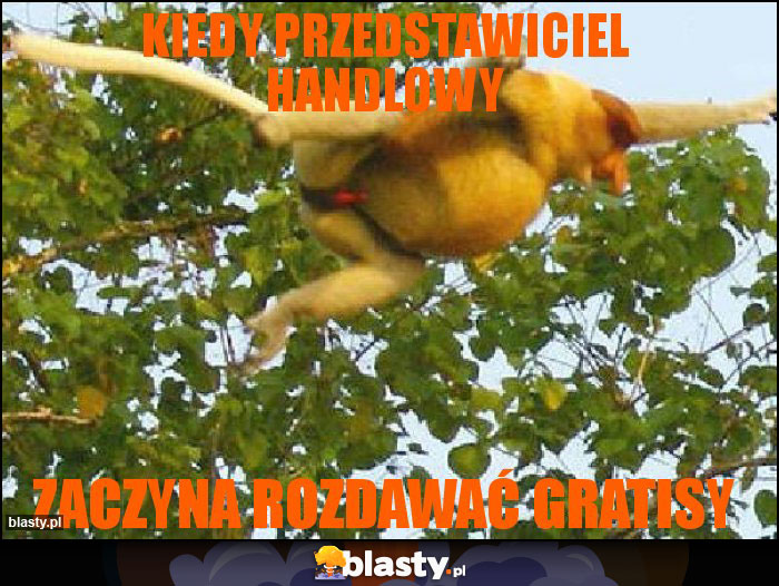 KIEDY PRZEDSTAWICIEL HANDLOWY KIEDY PRZEDSTAWICIEL HANDLOWY