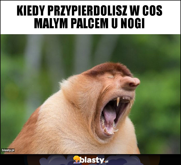 Kiedy przypierdolisz w cos malym palcem u nogi Kiedy przypierdolisz w cos malym palcem u nogi