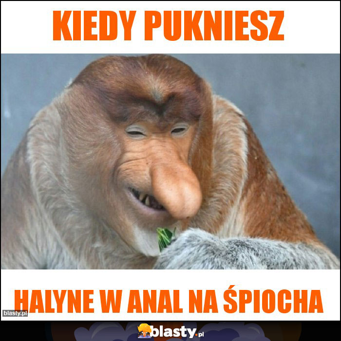 Kiedy pukniesz Kiedy pukniesz