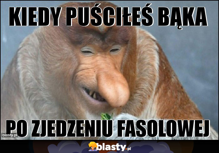 Kiedy puściłeś bąka Kiedy puściłeś bąka