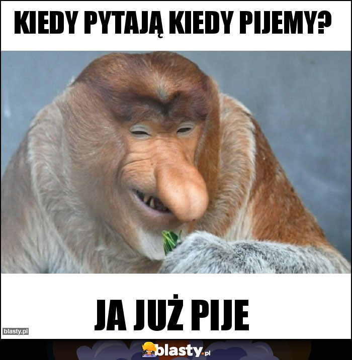 Kiedy pytają kiedy pijemy? Kiedy pytają kiedy pijemy?