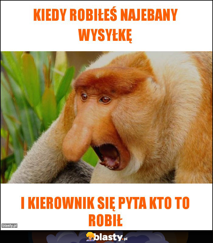 Kiedy robiłeś najebany wysyłkę Kiedy robiłeś najebany wysyłkę