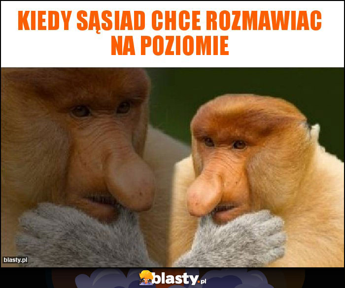 Kiedy sąsiad chce rozmawiac na poziomie Kiedy sąsiad chce rozmawiac na poziomie