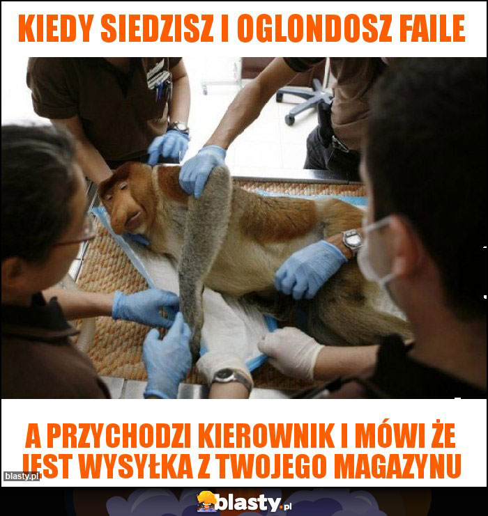 Kiedy siedzisz i oglondosz faile Kiedy siedzisz i oglondosz faile