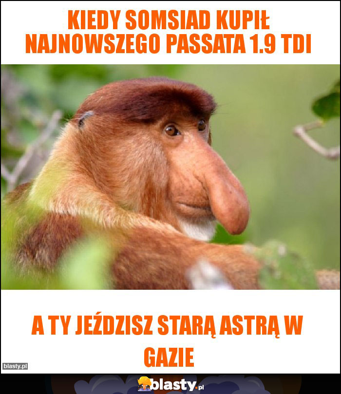 Kiedy somsiad kupił najnowszego passata 1.9 tdi Kiedy somsiad kupił najnowszego passata 1.9 tdi