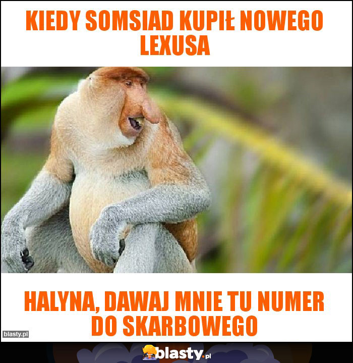 KIEDY SOMSIAD KUPIŁ NOWEGO LEXUSA KIEDY SOMSIAD KUPIŁ NOWEGO LEXUSA