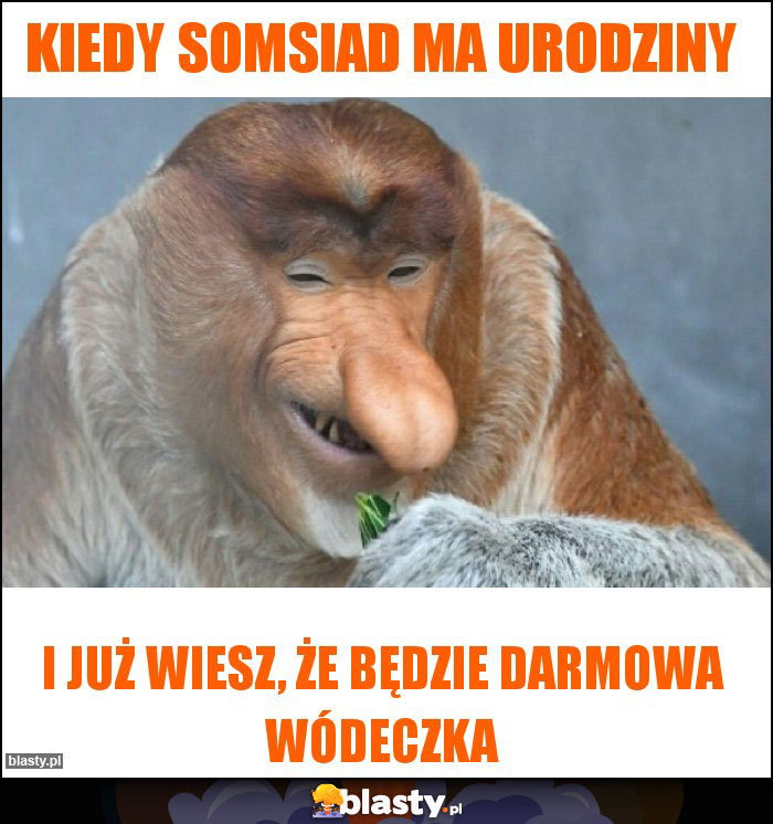 Kiedy somsiad ma urodziny Kiedy somsiad ma urodziny