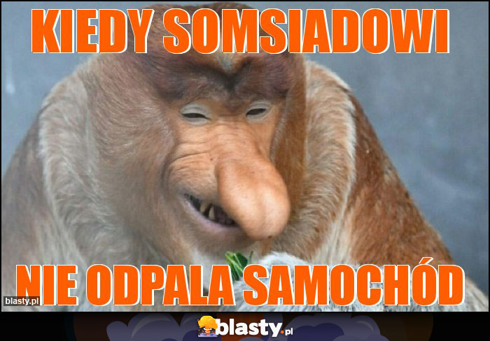 KIEDY SOMSIADOWI KIEDY SOMSIADOWI