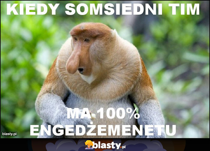 Kiedy somsiedni tim Kiedy somsiedni tim