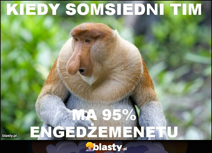 Kiedy somsiedni tim Kiedy somsiedni tim