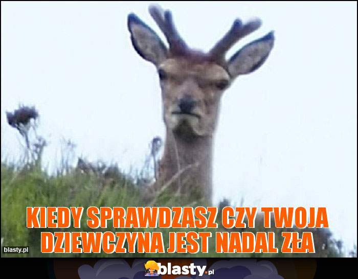 Kiedy sprawdzasz czy twoja dziewczyna jest nadal zła Kiedy sprawdzasz czy twoja dziewczyna jest nadal zła