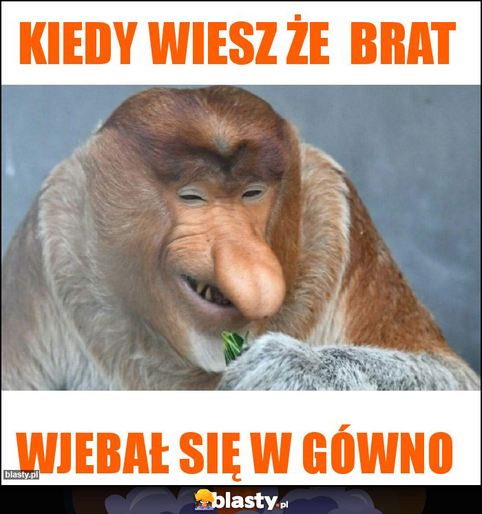 Kiedy wiesz że brat Kiedy wiesz że brat