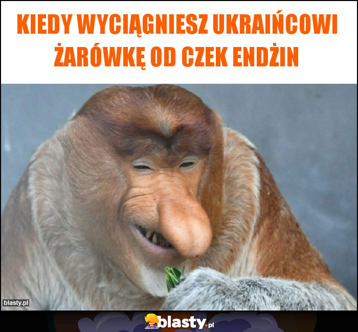 Kiedy wyciągniesz ukraińcowi żarówkę od czek endżin Kiedy wyciągniesz ukraińcowi żarówkę od czek endżin
