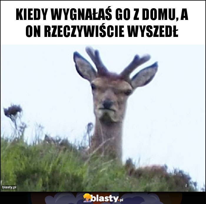 Kiedy wygnałaś go z domu, a on rzeczywiście wyszedł