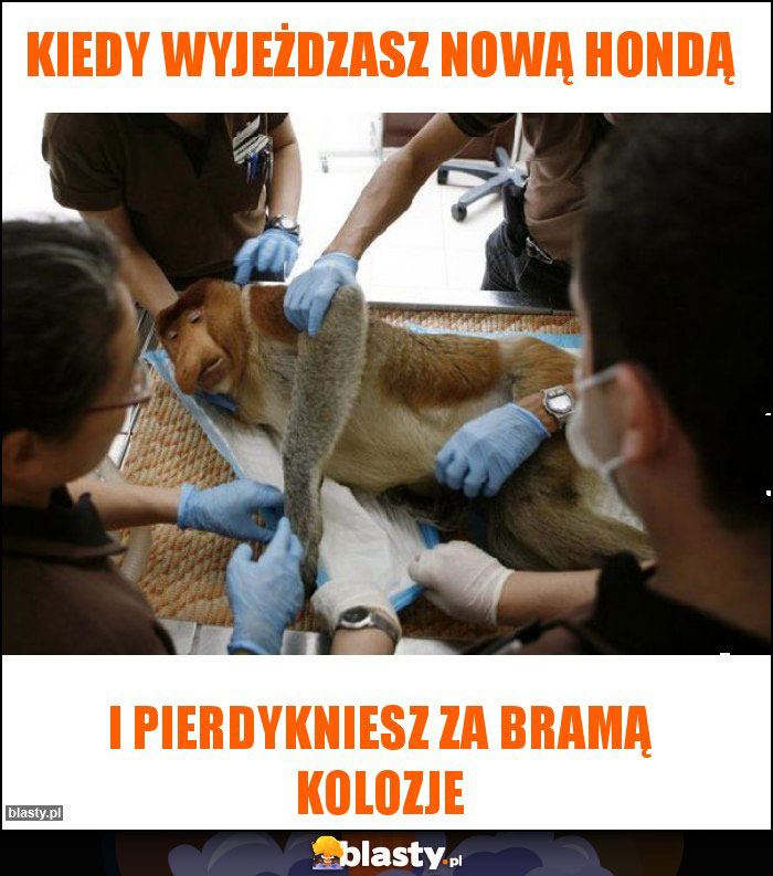 Kiedy wyjeżdzasz nową hondą Kiedy wyjeżdzasz nową hondą