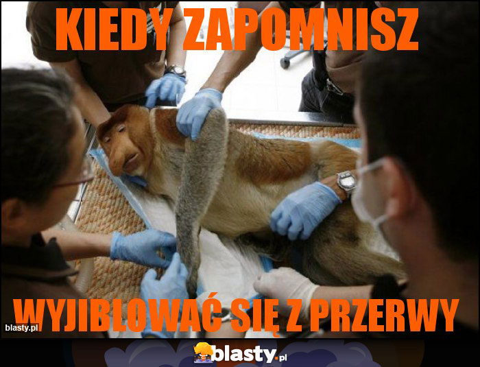 Kiedy zapomnisz Kiedy zapomnisz